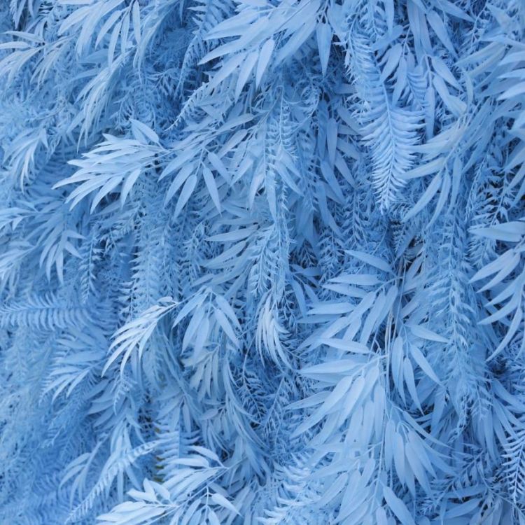 HE-BD110 5D Feather Backdrop Rolling Up Curtain Flower Wall - 8ft*8ft