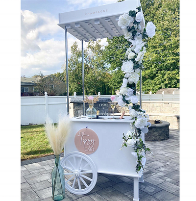 PVC Champagne Cart with Wheels - White/Pink