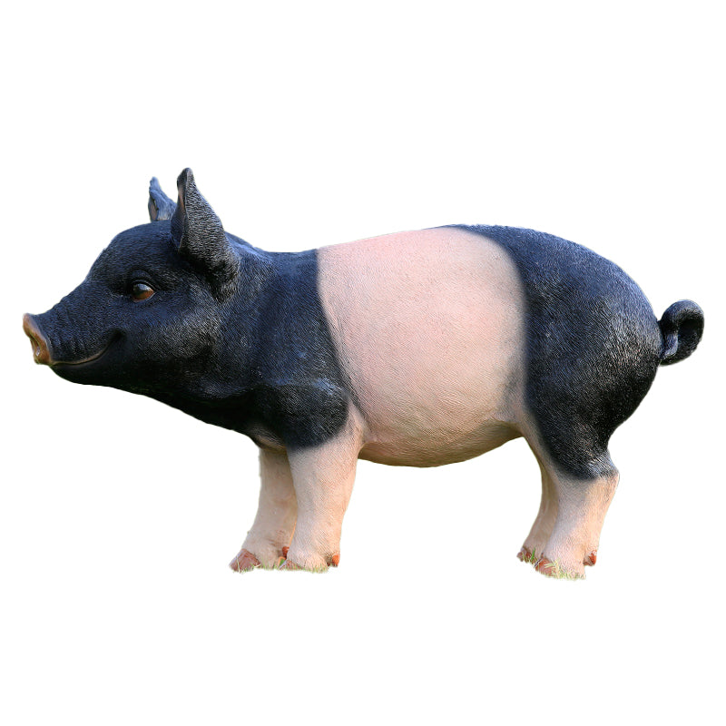 Custom Size Fiberglass Decorative Pig Statuette