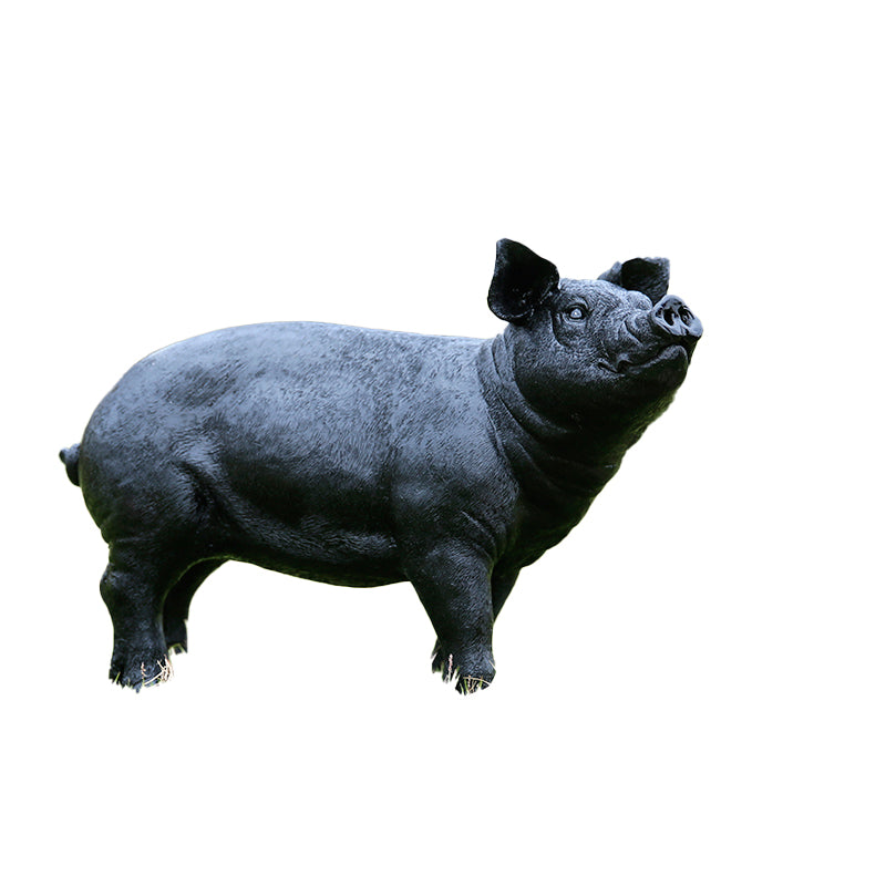Custom Size Fiberglass Decorative Pig Statuette