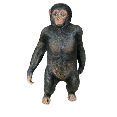 Custom Size Fiberglass Decorative Monkey Statuette
